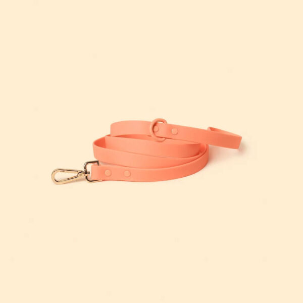 The Leash - Peach - Image 2