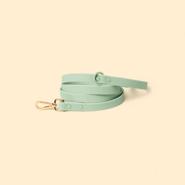 The Leash - Seafoam - Image 2