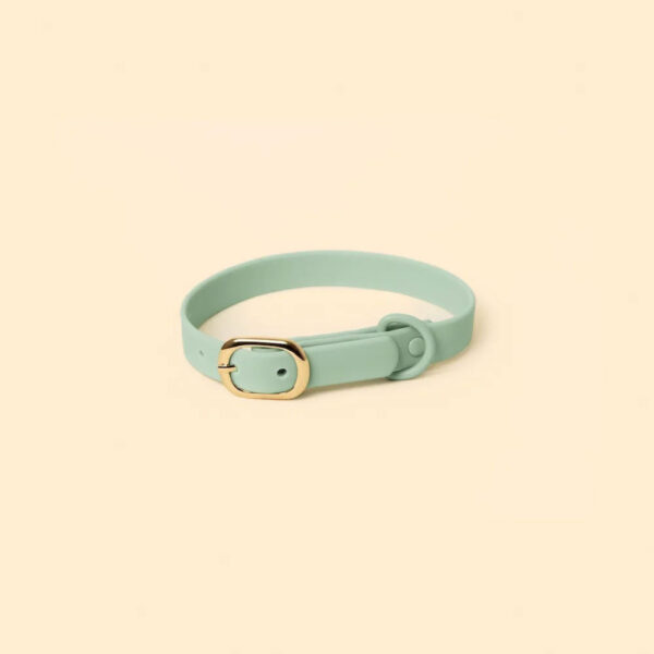 The Collar - Seafoam - Image 6